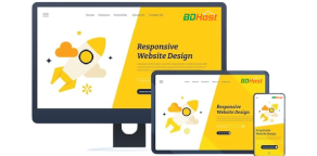 BDHost-responsive-web-development-services
